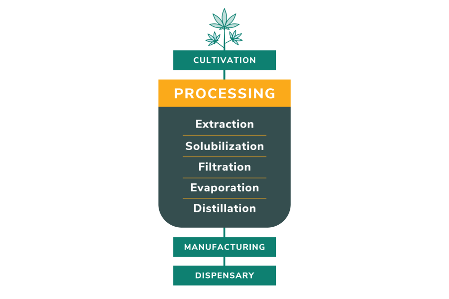 TXOG Medical Marijuana Extraction Process