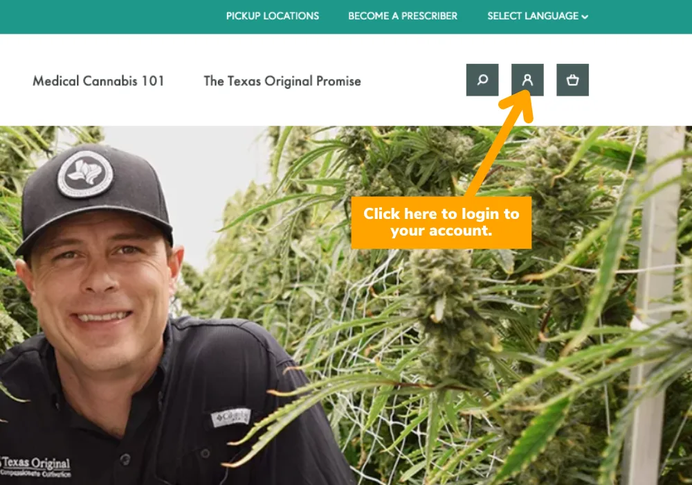 Texas Original website account login screen