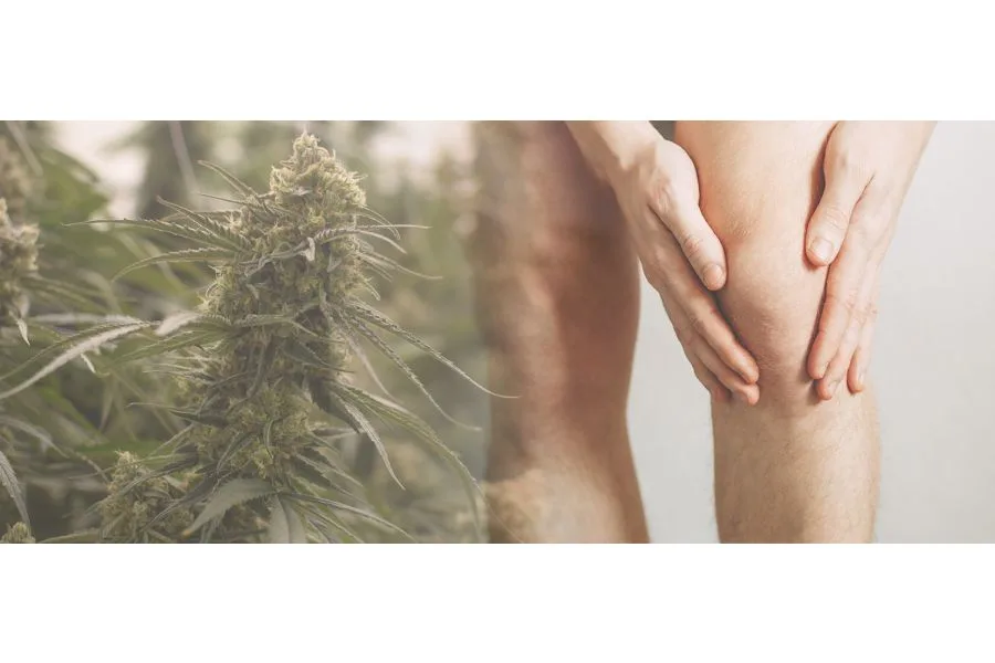 Medical Marijuana for Spasticity