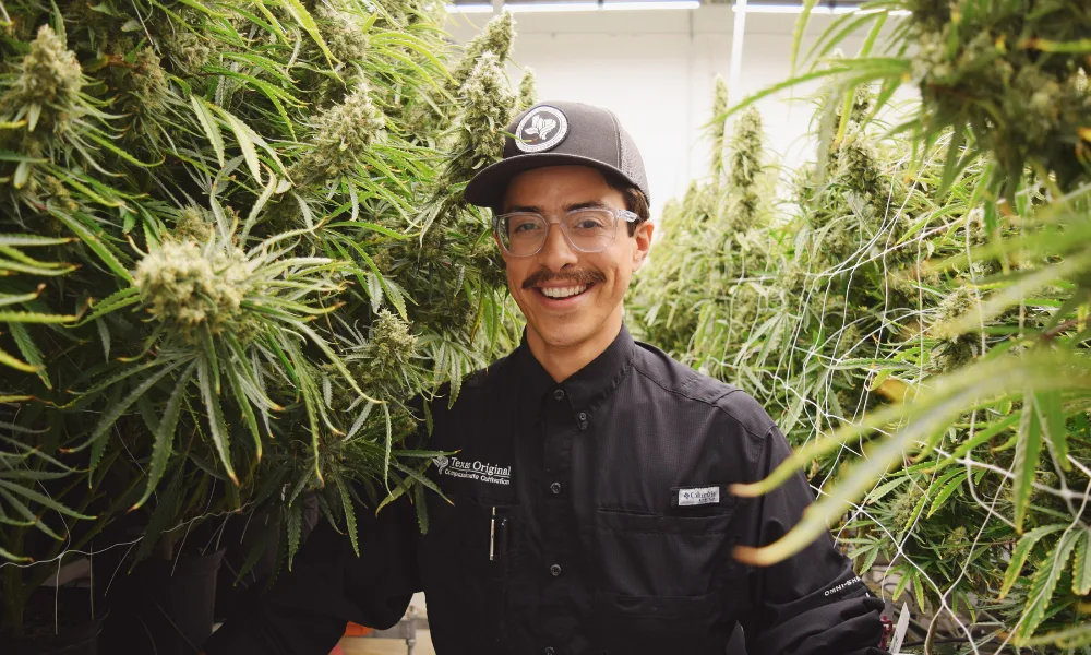 Texas Original medical marijuana dispensary products