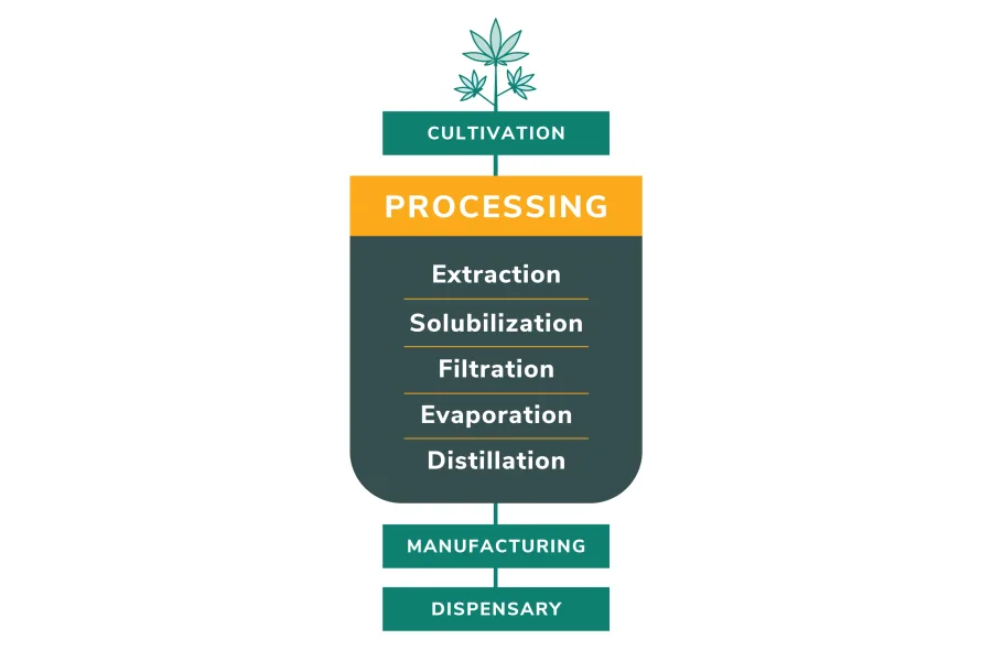 TXOG Medical Marijuana Extraction Process
