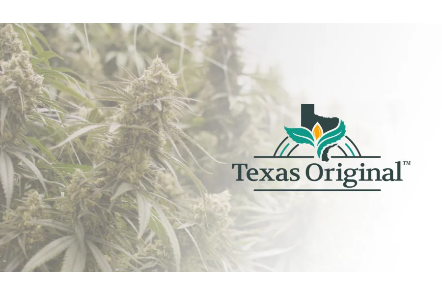 Houston Area Army Veteran Reclaims Life, Eliminates Opioid Use with Medical Cannabis