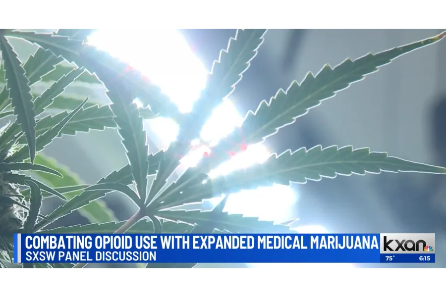 Can Texas combat the opioid crisis with expanded medical marijuana use?