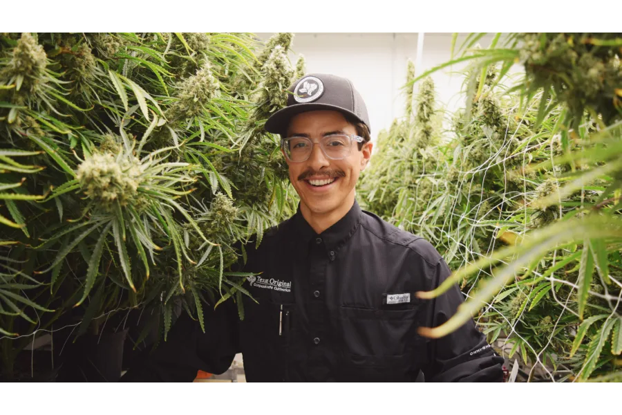 Here’s how to get a prescription for medical cannabis in Texas