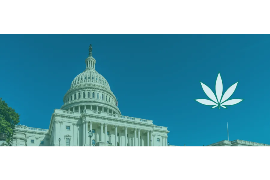 What the MORE Act Means for Medical Cannabis