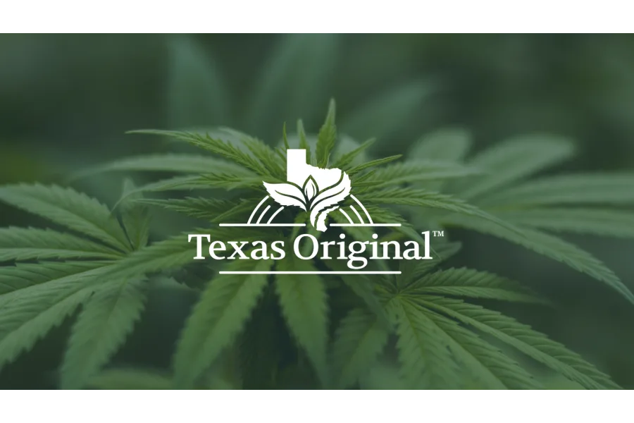 Cannabis yields positive results in veterans suffering from PTSD, study shows