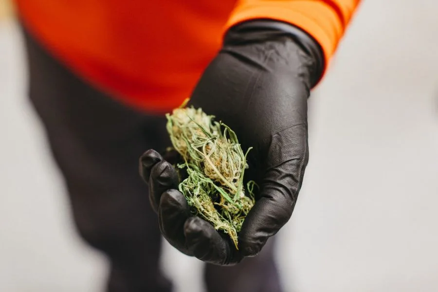 Heavy Metals: What Patients Need to Know About Cannabis Lab Testing and CBD Medicine