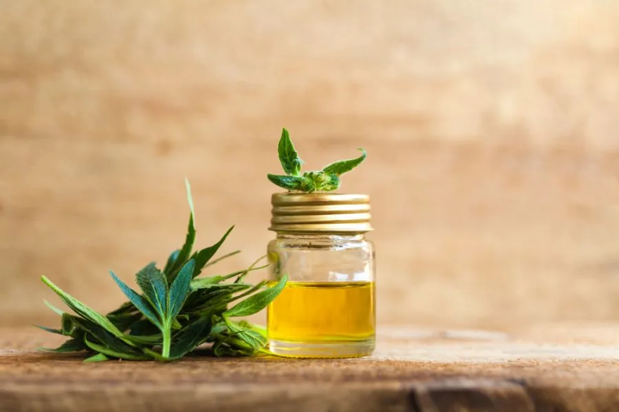 Spasticity and Cannabis: What Five Prominent Studies Have Concluded