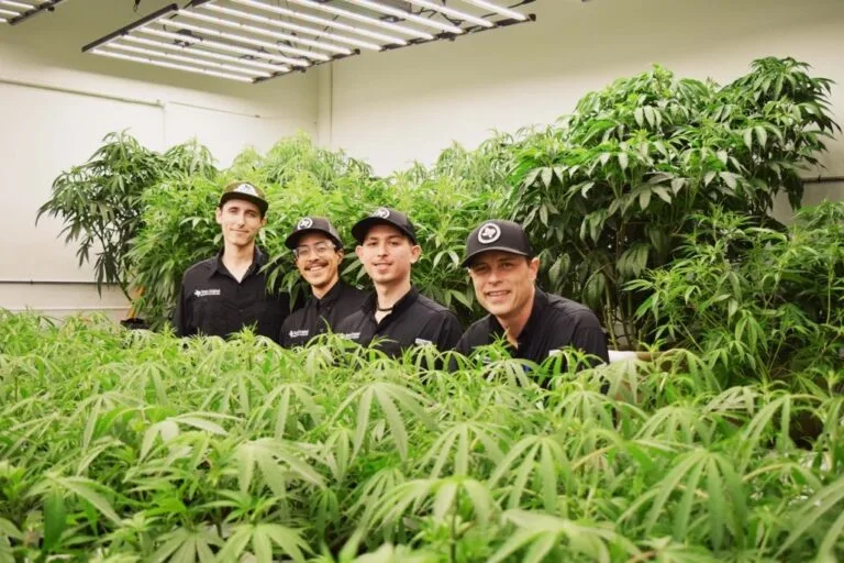 Texas Original medical cannabis products
