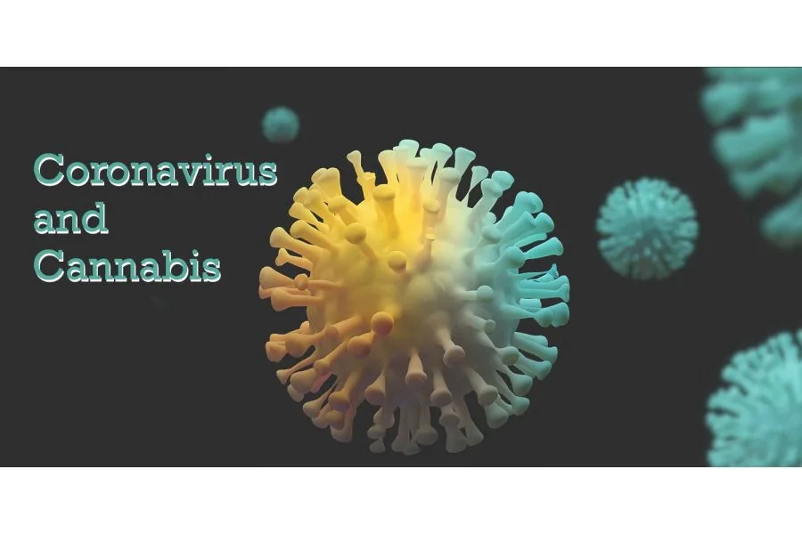 Coronavirus and Cannabis: What You Need to Know